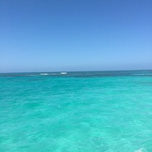 Meet your Posher, Salena